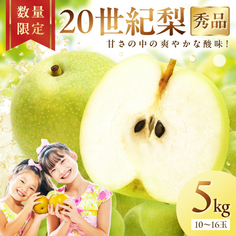 【ふるさと納税】【先行予約／数量限定600】20世紀梨（秀品） 5kg（10～16玉）（2025年8月下旬～発送） 国産 10～16 個 玉 ふるさと 納税 梨 なし ナシ  ふるさと 納税 先行予約 期間限定 ふるさと 納税 フルーツ くだもの デザート 贈答 贈り物 にも