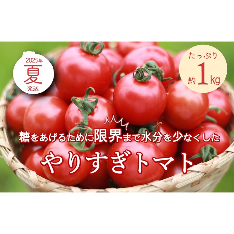 【ふるさと納税】【先行予約】やりすぎトマト（4パック計約1kg）（夏季）（2025年6月上旬以降発送） 国産 ミニトマト ミディトマト プチトマト お野菜 野菜 とまと アスリート トマト 高糖度 甘い 濃縮 濃厚 トマトスープ 健康 リコピン おすすめ 人気