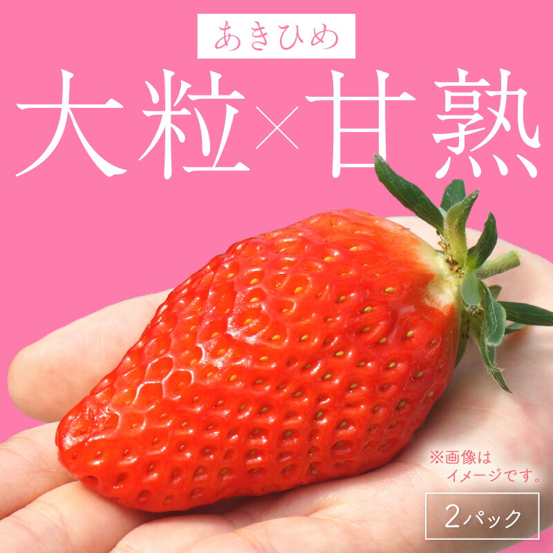 【ふるさと納税】【2026年発送】【京丹後産いちご章姫】農園直送便！新鮮大粒いちご 2パック ギフト箱入り／北畿水産 国産 大粒 あきひめ 甘い やわらかい ふるさと納税 いちご イチゴ 苺 先行予約 期間限定 くだもの 果物 先行申込 ストロベリー ギフト 送料無料