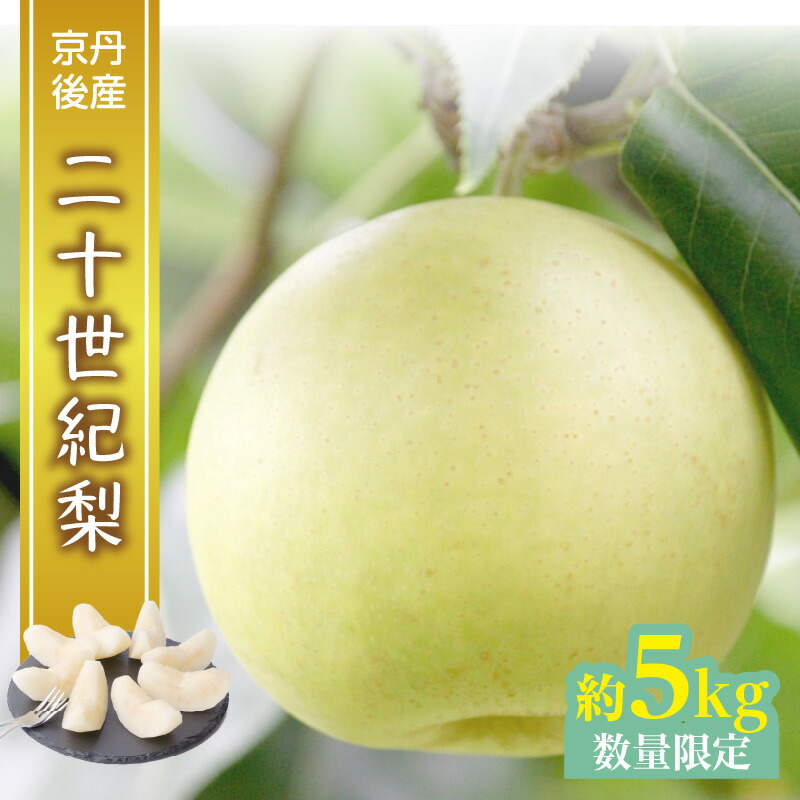 【ふるさと納税】残りわずか【先行予約／数量限定】京都丹後産 二十世紀梨 5kg（2025年9月上旬～発送） 国産 ギフト ジューシー お取り寄せ 5キロ ふるさと 納税 梨 なし ナシ 5kg ふるさと 納税 先行予約 期間限定 ふるさと 納税 20世紀 先行申込 送料無料