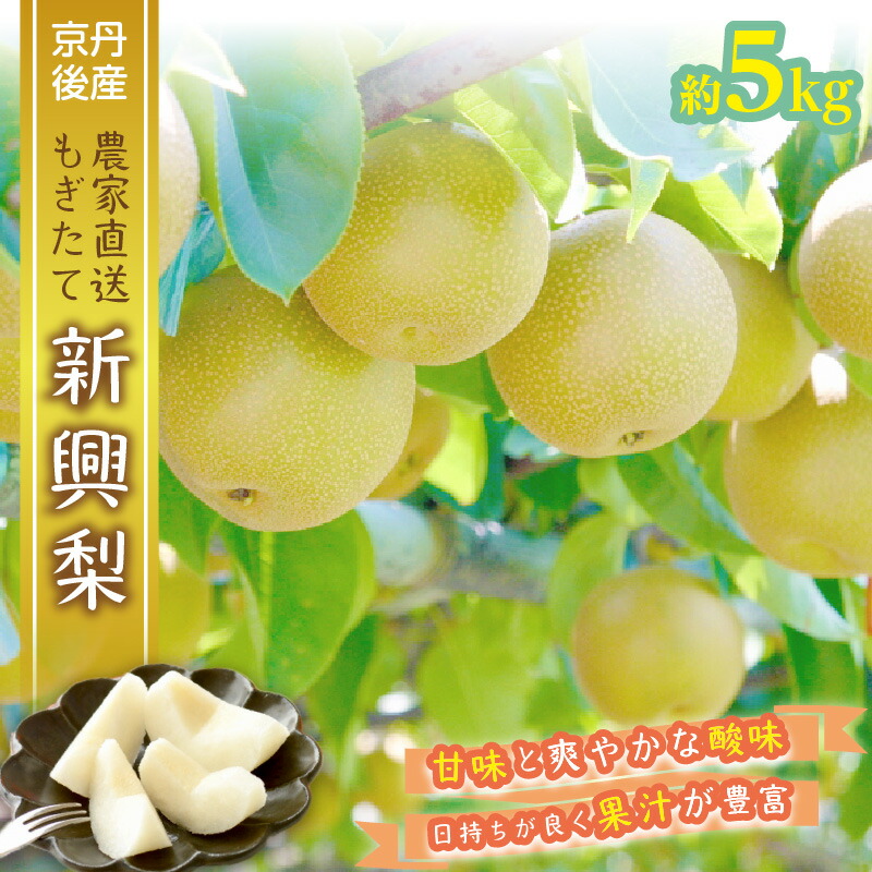 【ふるさと納税】残りわずか【先行予約／数量限定50】京都丹後産 新興梨 5kg（2025年10月下旬～発送） 国産 ふるさと 納税 梨 なし ナシ 5kg ふるさと 納税 先行予約 期間限定 ふるさと 納税 新興 赤梨 送料無料