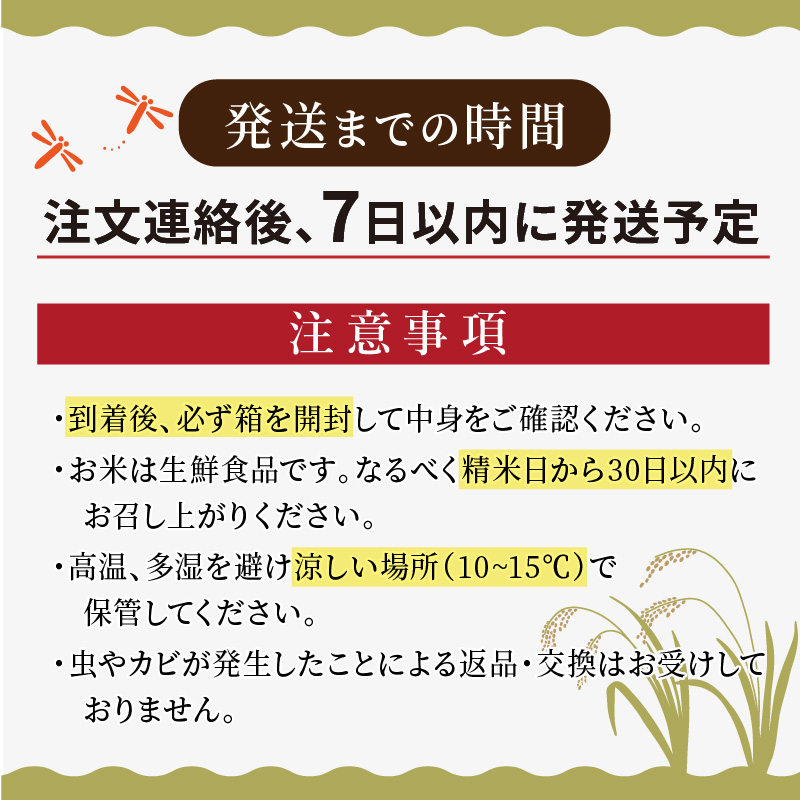 令和4年産 京都丹後産 5kg 5kg×2袋 5キロ 5キロ×2 10kg 10キロ お土産 お米 こしひかり ご飯 ギフトこめ コシヒカリ コメ  ブランド米 定期 特別栽培米コシヒカリ10kg 白米 米 精米 食品 2021人気新作 特別栽培米コシヒカリ10kg