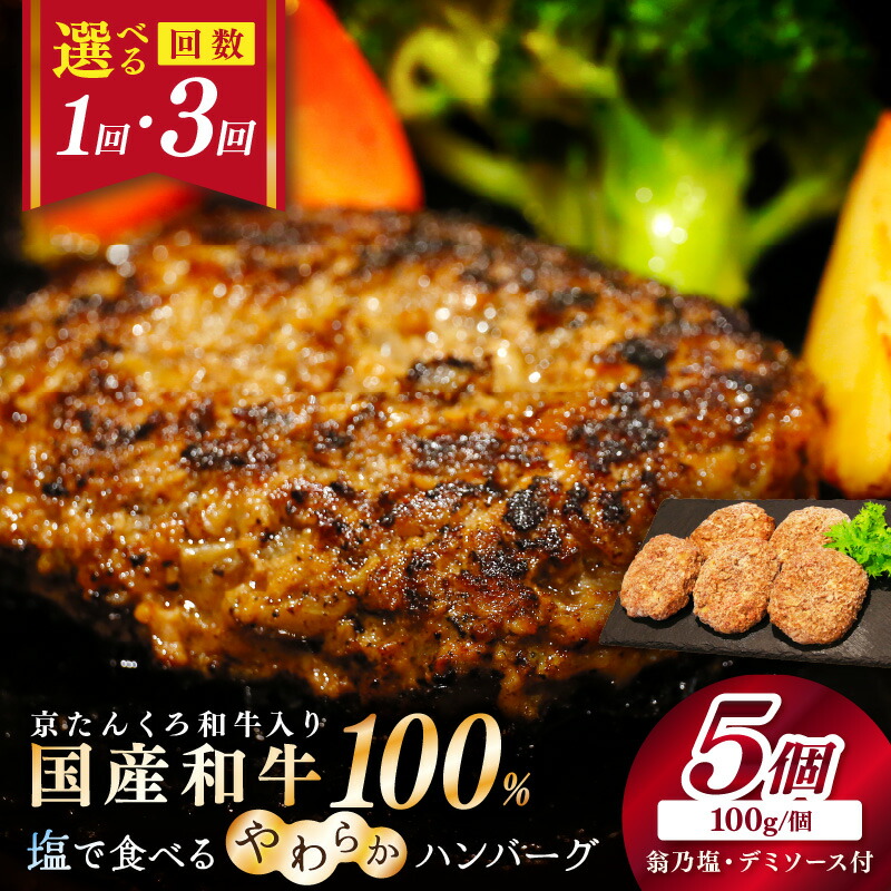 【ふるさと納税】塩で食べるやわらかハンバーグ（デミグラスソース付）1回 3回 ふるさと納税 ハンバーグ ふるさと納税 肉｜京都府京丹後市
