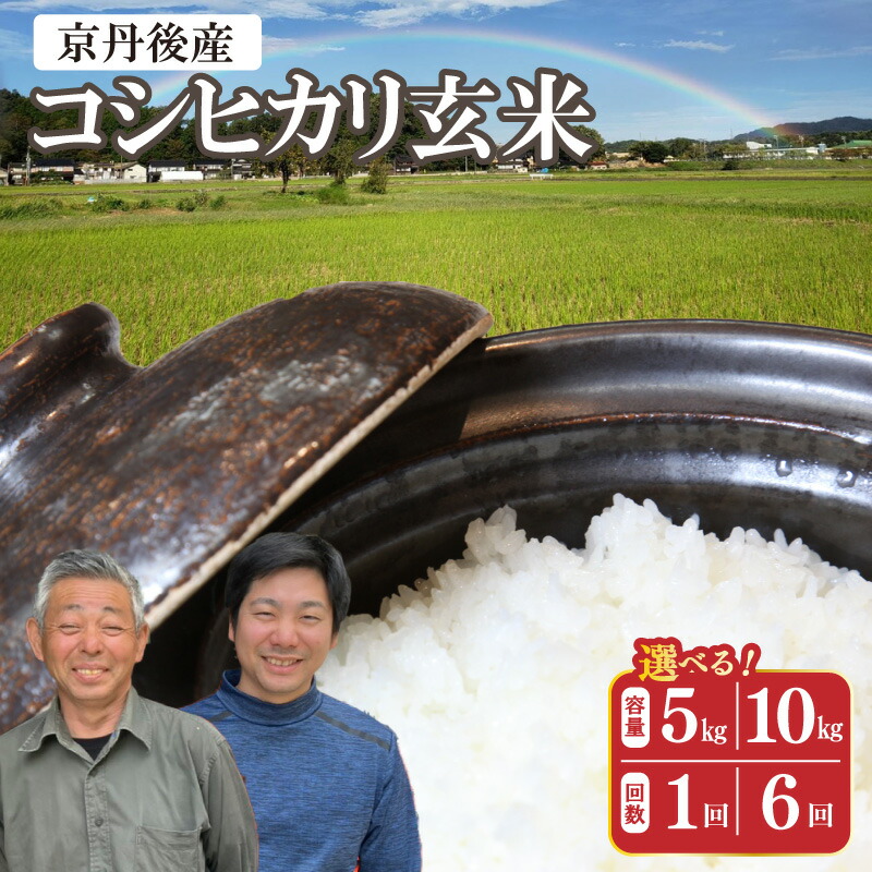 【ふるさと納税】丹後弥栄産コシヒカリ 玄米 5kg 10kg 定期便 1回 6回