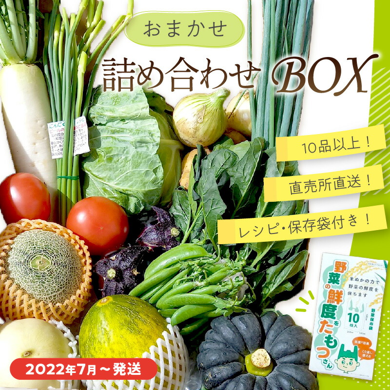 待望 直売所直送 京都 京丹後産 季節の野菜 果物 お任せ詰め合わせBOX 10品以上 2022年7月〜発送 食べ方 レシピ 保存袋付き  fucoa.cl