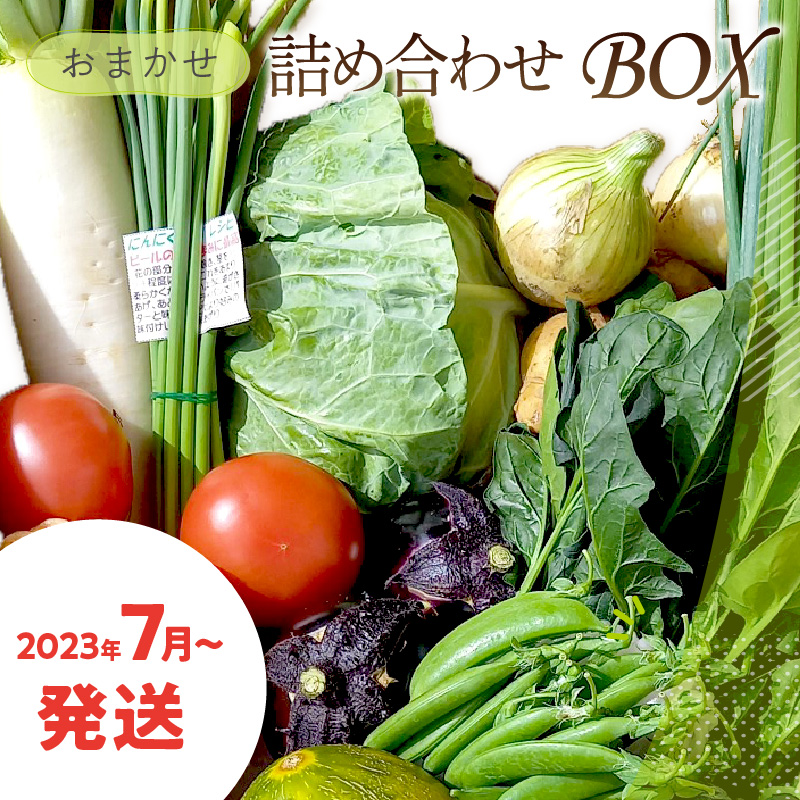 楽天市場】【ふるさと納税】【訳あり】【楽天限定・発送時期が選べる