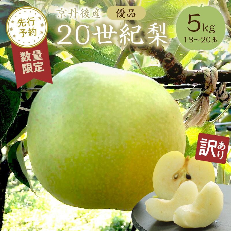 【ふるさと納税】高評価★4.75 高レビュー★【先行予約／数量限定100】【訳あり】20世紀梨 優品 5kg（13～20玉入り）（2025年9月上旬～発送） 国産 13～20 個 玉 なし 期間限定 ふるさと 納税 訳あり 規格外 ふるさと 納税 フルーツ くだもの 果物 農家直送