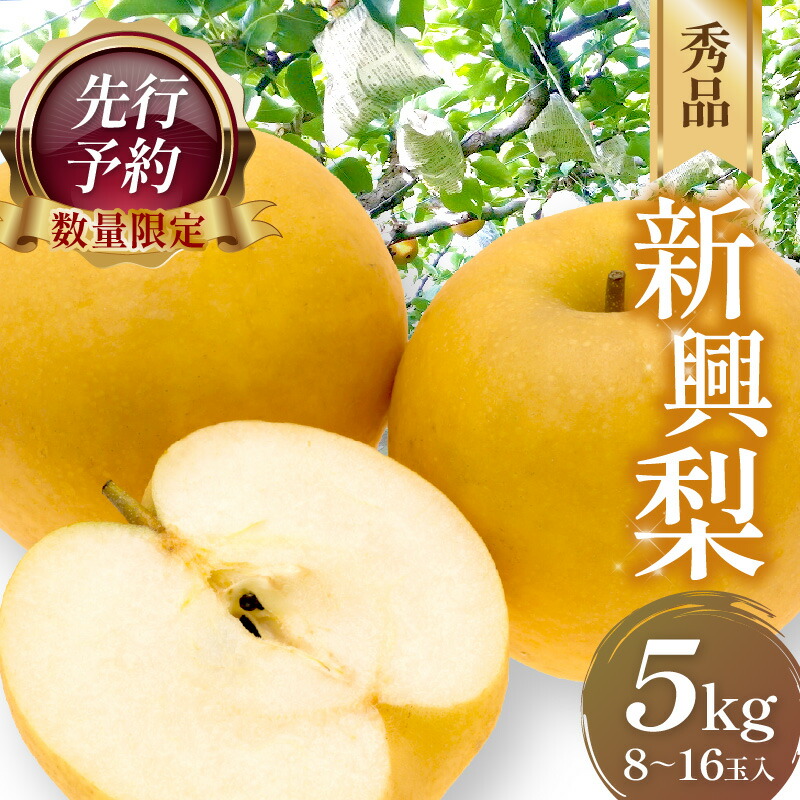 【ふるさと納税】【数量限定50】大きい梨・新興梨 秀品 5kg（8～16玉入り）（2026年10月上旬～発送） 国産 8～16 個 玉 ふるさと 納税 梨 なし ナシ 5kg ふるさと 納税 先行予約 期間限定 ふるさと 納税 フルーツ くだもの 果物 赤梨 農家直送 ふるさと納税 梨