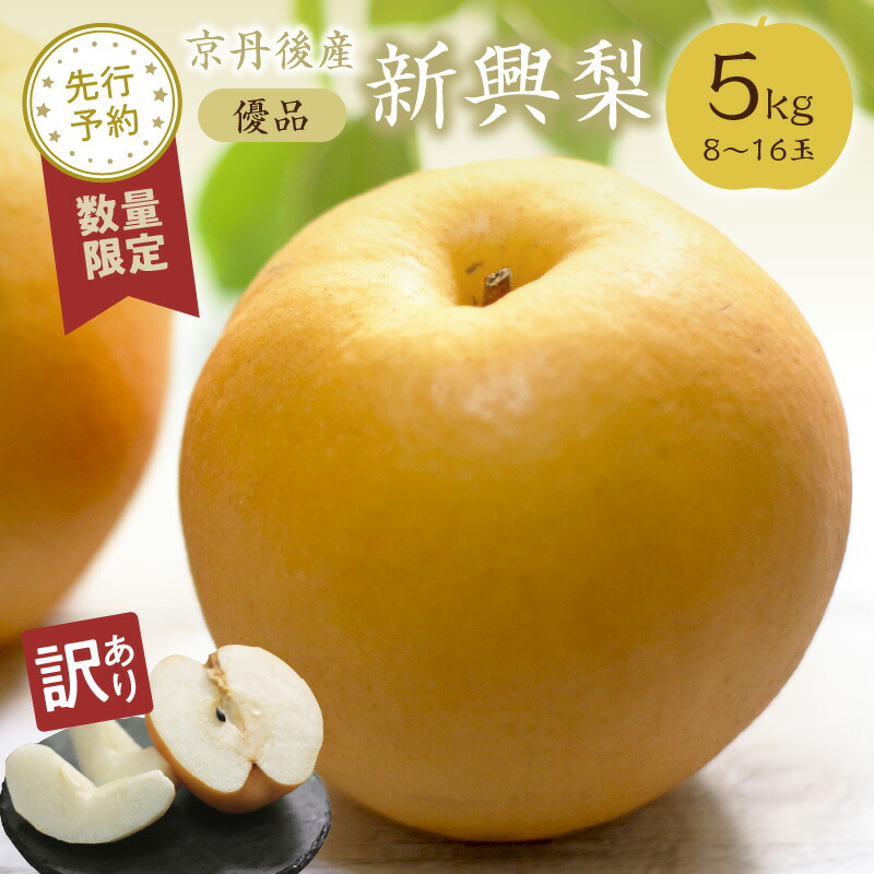【ふるさと納税】高レビュー★ 【先行予約／数量限定100】【訳あり】新興梨 優品 5kg（8～16玉入り）（2025年10月上旬～発送） 国産 8～16個 玉 ふるさと 納税 梨 なし ナシ 期間限定 ふるさと 納税 訳あり 規格外 ふるさと 納税 フルーツ くだもの 果物 農家直送