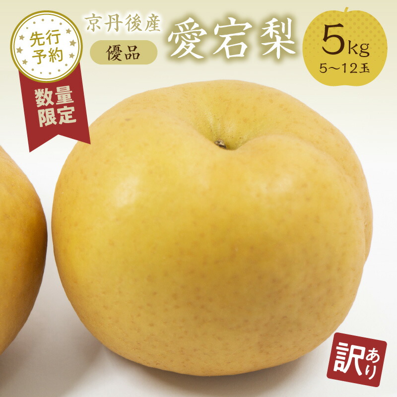 【ふるさと納税】【先行予約／数量限定50】【訳あり】愛宕梨 優品 5kg（5～12玉入り）（2025年11月下旬～発送）国産 あたご梨 5～12 個  梨 なし 期間限定 ふるさと 納税 訳あり 規格外 フルーツ くだもの 果物 傷 農家直送
