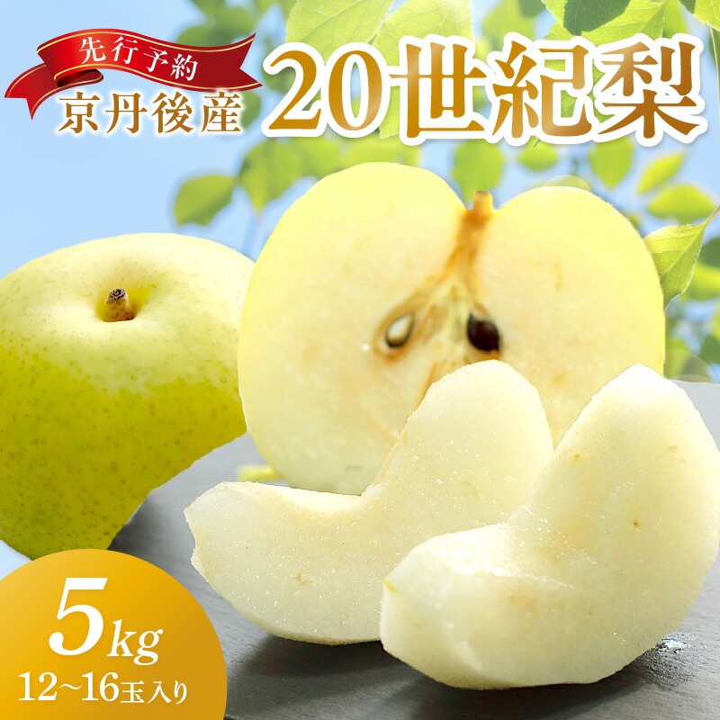【ふるさと納税】2026年秋発送／【先行予約／数量限定150】京丹後産 20世紀梨 5kg（12～16玉入り）（2026年9月上旬～発送） 国産 期間限定 デザート 甘い ジューシー ふるさと 納税 梨 なし ナシ 5kg ふるさと 納税 先行予約 ふるさと 納税 フルーツ くだもの 青梨
