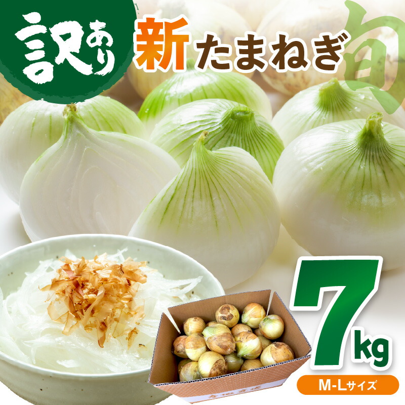 【ふるさと納税】＼野菜高騰中 新玉ねぎ／【訳あり】高評価★4.75【先行予約／数量限定】新たまねぎ 7kg （2025年5月中旬～発送）甘い 新鮮 国産 玉ねぎ 7キロ 30～40玉 ふるさと納税 たまねぎ 訳あり 訳有り わけあり 不揃い ふぞろい やさい 京野菜 新たま