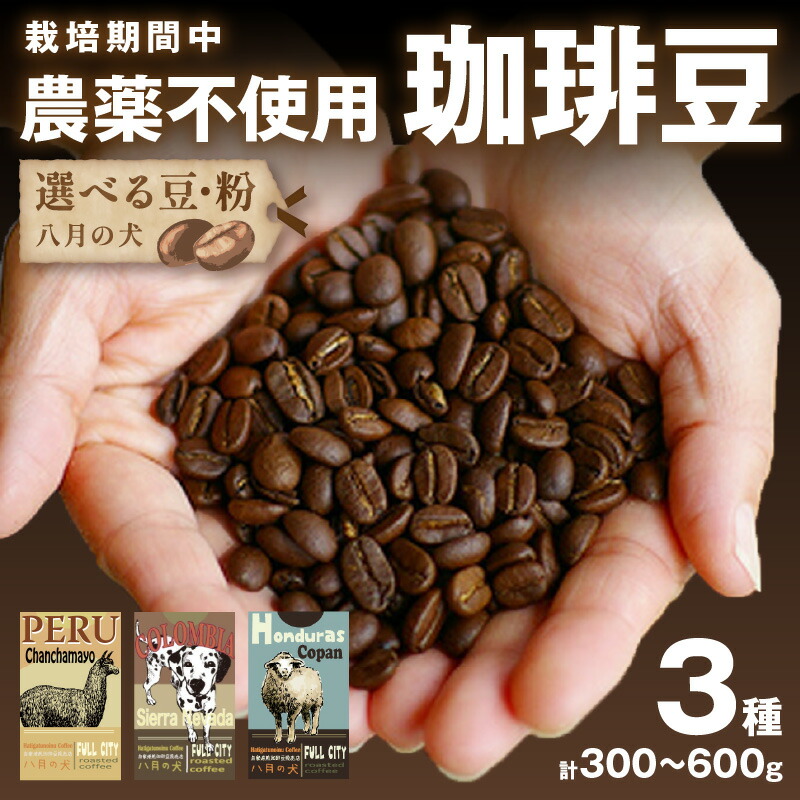 【ふるさと納税】リピーター人気/豆・挽 選べる/高評価★4.73 高レビュー★ 焙煎直送【栽培期間中 農薬不使用】 自家焙煎 コーヒー豆 お試しセット ペルー ホンジュラス コロンビア 3種セット100g・200g×各3種 500g(250g×2) おいしい ふるさと納税 コーヒー豆 珈琲豆|京都府京丹後市