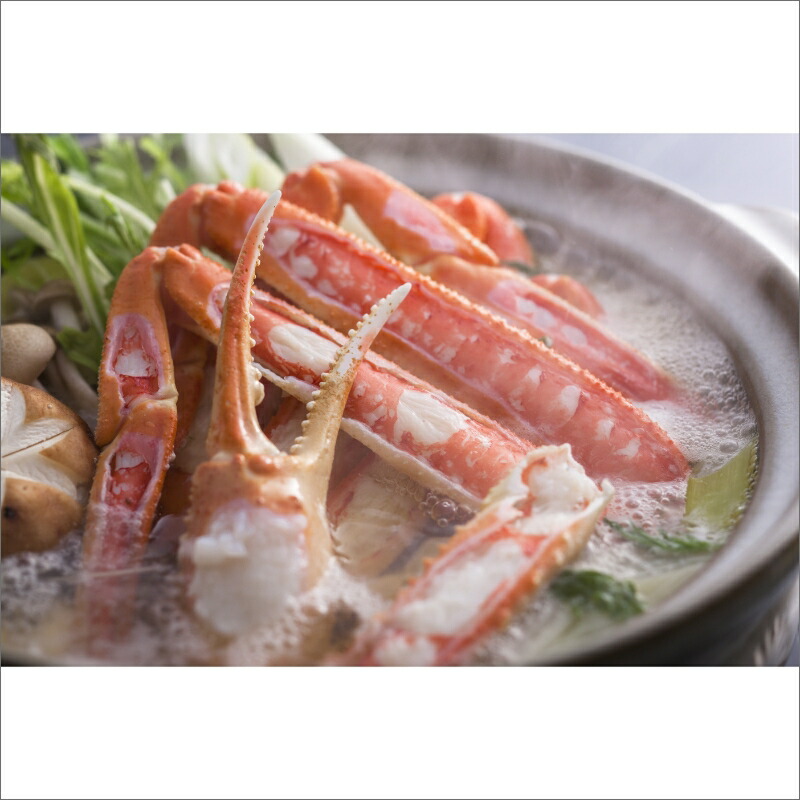 【ふるさと納税】松葉ガニのかにすき 2人前 4人前 セット 中～超特大サイズ (650g～1.2kg以上) 1杯 2杯 選べる サイズ 内容量 カニ鍋 蟹 蟹鍋 鍋  カニすき 蟹すき 松葉蟹 松葉ガニ かに雑炊 日本海 国産 のし お祝い ギフト お取り寄せ 加工品 簡単 お手軽 冷凍