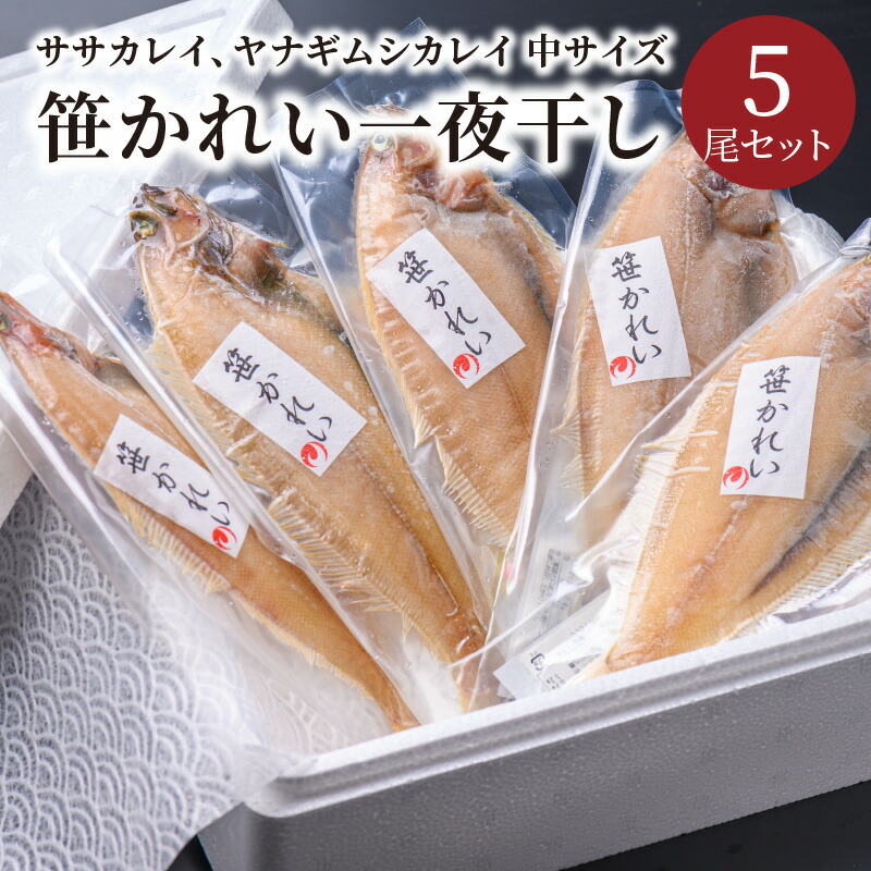 【ふるさと納税】笹かれい一夜干し（ササカレイ、ヤナギムシカレイ）中サイズ 5尾セット 海鮮 魚介 魚介類 カレイ 一夜干し 100g～ 5尾 セット 冷凍 干物 干もの 塩焼き 脂のり 揚げ 簡単調理 笹がれい やなぎかれい 日本海産 かれいの王様 真空パック お取り寄せ 送料無料