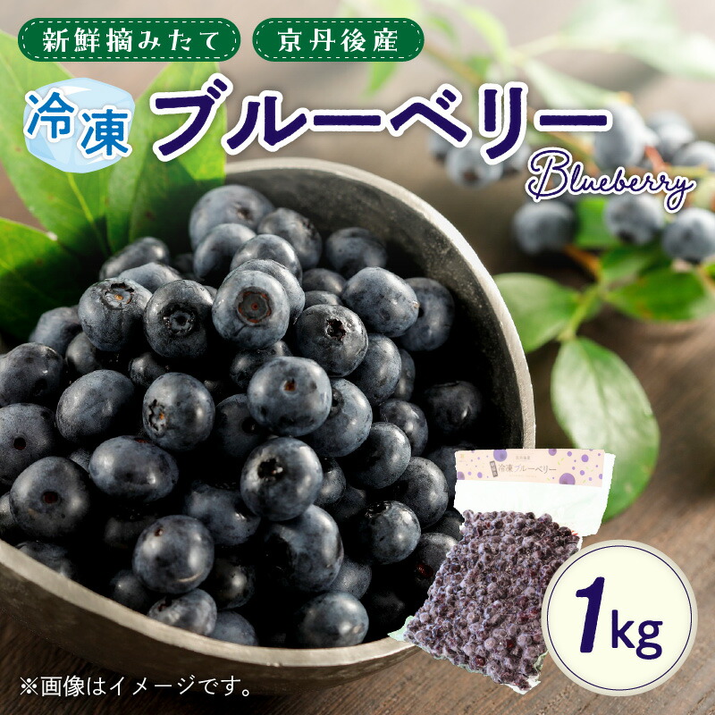 【ふるさと納税】美味しさそのまま摘みたてをハイブリッド冷凍　京丹後産冷凍ブルーベリー1kg/北畿水産 果物 フルーツ スイーツ ぶるーべりー ふるさと納税 フルーツ ふるさと納税 果物 生産者応援 農家応援 送料無料 国産