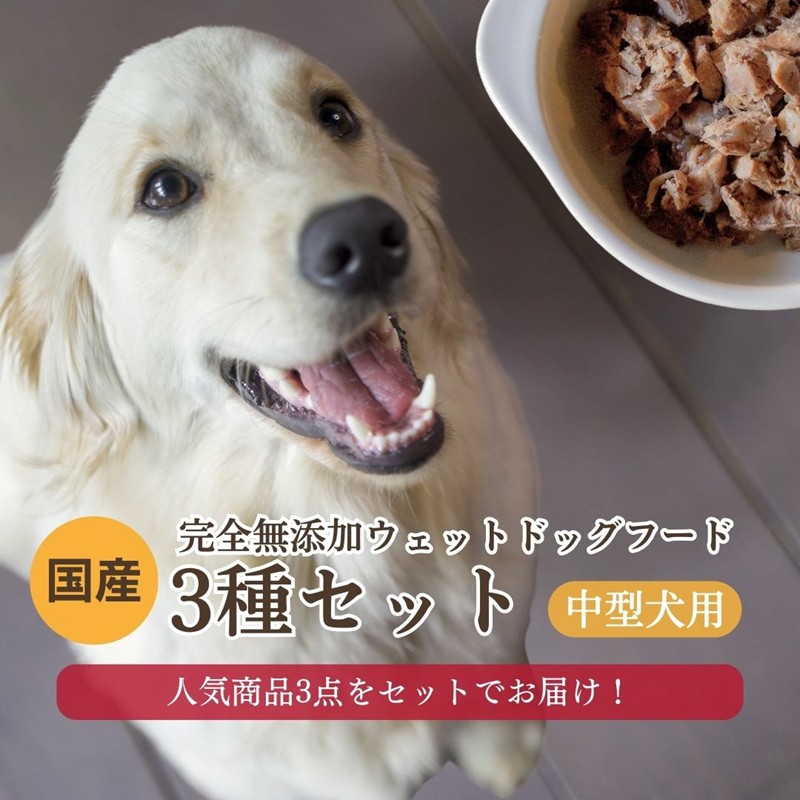 【ふるさと納税】<中型犬用>3種セット ドッグフード 犬用 中型犬 ダイエット 栄養 鹿肉 しか肉 しかにく 鹿すね肉 鹿すじ肉 コラーゲン 国産 スープ 京都野菜 京丹後 京都 無添加 健康 愛犬 愛犬家 おやつ 安心安全 手作り 食事 送料無料