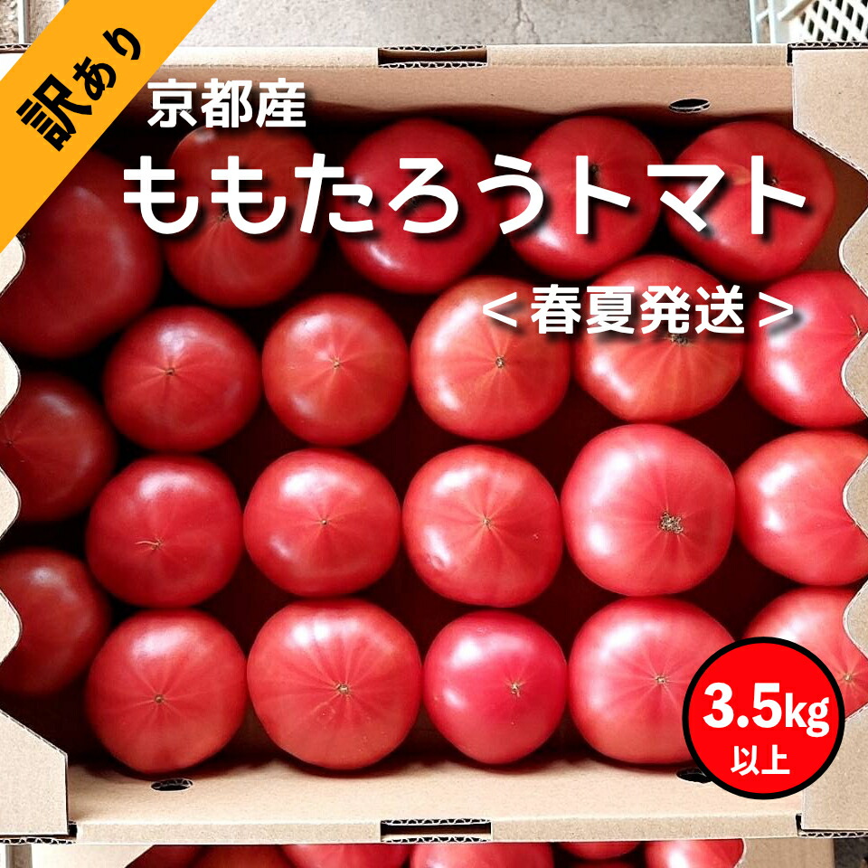 【ふるさと納税】高糖度　ももたろうトマト（春夏発送）　訳あり　3.5キロ以上　不揃い  3.5キロ以上　お野菜 野菜 トマト ミニトマト 3.5きろ 高糖度 濃厚 甘い 美味しい 完熟 とまと 不揃い ふぞろい 規格外 きかくがい 生産者応援 農家応援 送料無料