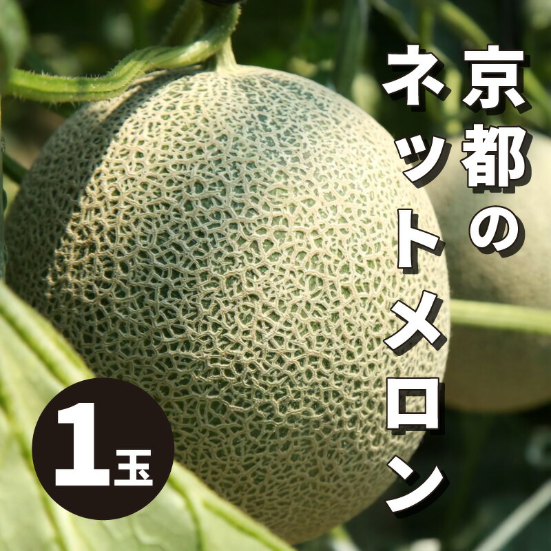 【ふるさと納税】2025年夏発送【先行予約／数量限定】アールスメロン(ネットメロン) 1玉 2玉(2025年7月上旬～発送) 選べる 内容量 国産 フルーツ 果物 メロン 甘い 糖度 ハウス栽培 リピート めろん ふるさと納税 メロン 1玉 2玉 ふるさと納税 先行予約 期間限定