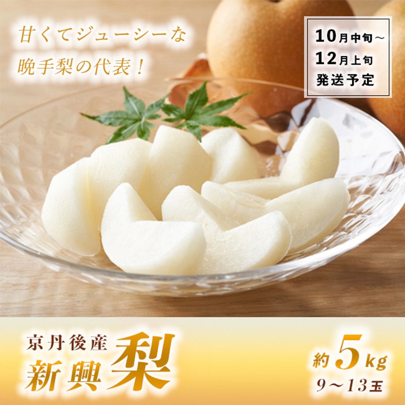 【ふるさと納税】【先行予約】甘～ぃ！ジューシー！！晩生梨の代表 京丹後産 新興梨 5kg（9～13玉）（2025年10月中旬～発送） 国産 期間限定 デザート ふるさと 納税 梨 なし ナシ ふるさと 納税 先行予約 期間限定 ふるさと 納税 フルーツ くだもの 果物 赤梨