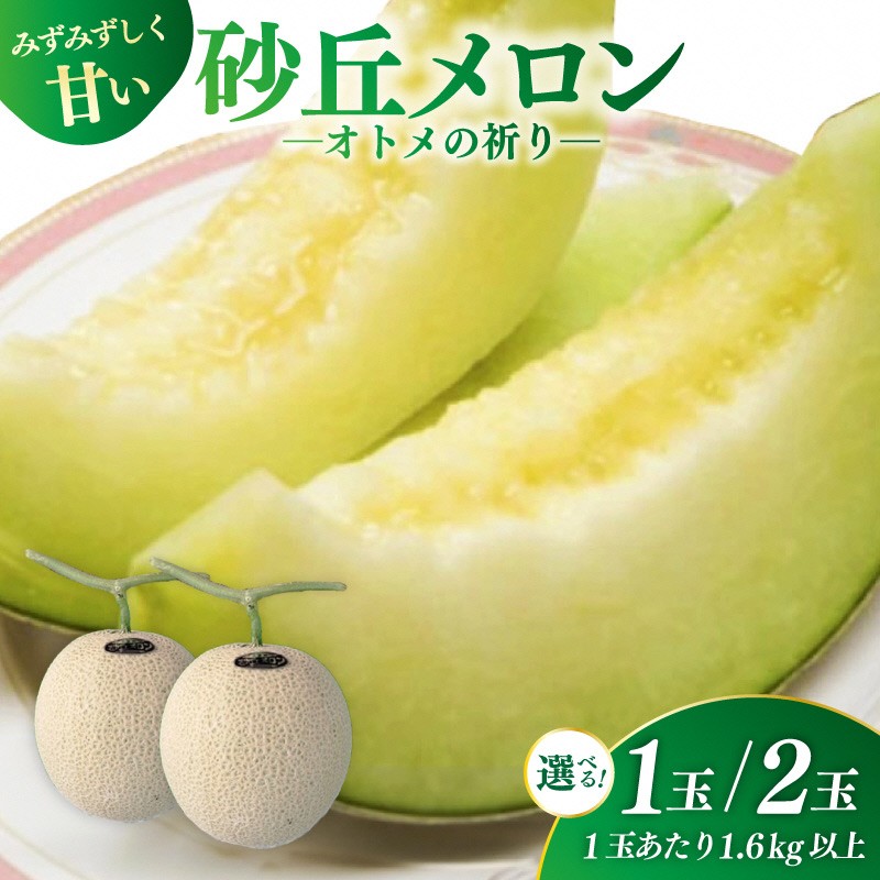 【ふるさと納税】京都丹後久美浜産 砂丘メロン【オトメの祈り】 2Lサイズ (2026年7月中旬~発送) 1玉 2玉 選べる 内容量 ふるさと納税 国産 砂丘 メロン 果物 フルーツ 京都 丹後 久美浜 めろん 農家応援 生産者応援 送料無料|京都府京丹後市