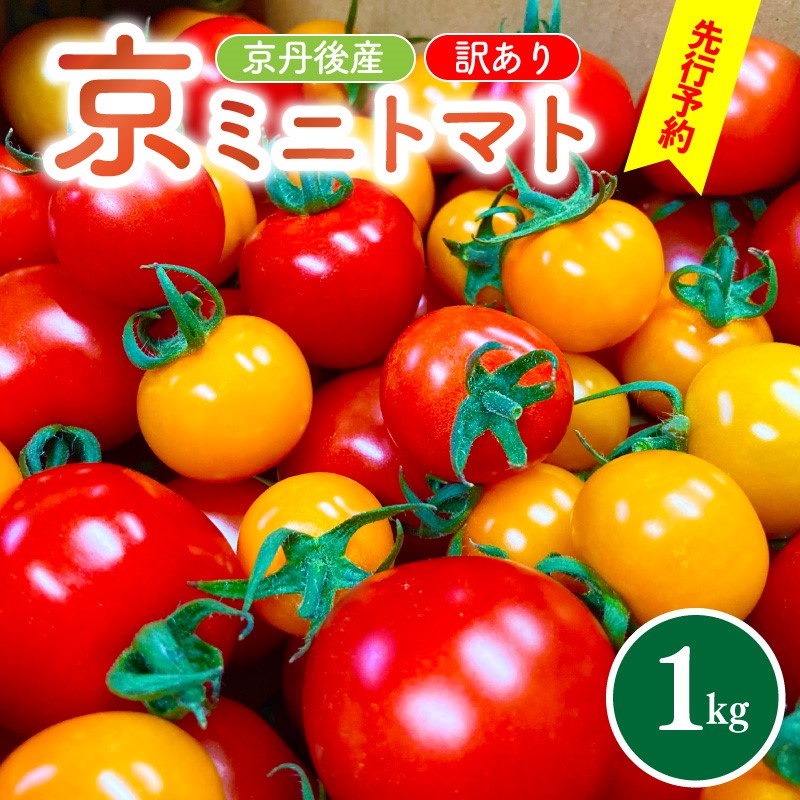 【ふるさと納税】【先行予約】訳あり・新鮮カラフルトマト／京丹後産・京ミニトマト 1kg（2025年5月中旬～発送） 野菜 ミニトマト 1キロ サラダ 色とりどり とまと 京野菜 ふるさと納税 トマト 不揃い ふぞろい わけあり 訳アリ ワケアリ 訳有り 1きろ tomato