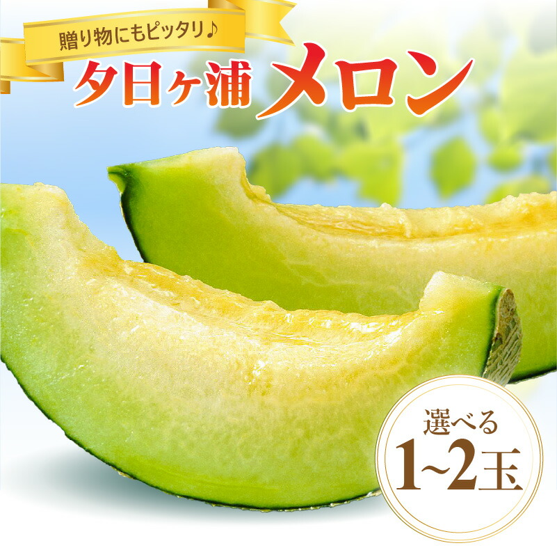 【ふるさと納税】JA京都／高評価★5.0 高レビュー★【先行予約／数量限定】夕日ヶ浦メロン 1玉 2玉（2025年7月中旬～発送） 選べる 国産 高級メロン めろん 贈答品 贈り物 ふるさと 納税 メロン 青肉 ふるさと 納税 先行予約 期間限定 ふるさと 納税 フルーツ くだもの 果物