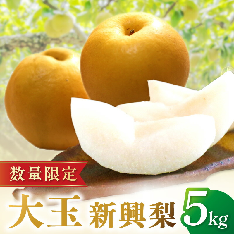 【ふるさと納税】【先行予約／数量限定100】京丹後産・大玉 新興梨 5kg（6玉～10玉）（2025年10月中旬から発送） 国産 6～10 個 玉 ふるさと 納税 梨 なし ナシ 5kg  先行予約 期間限定 フルーツ くだもの 果物 赤梨 農家直送 生産者応援 農家応援 送料無料