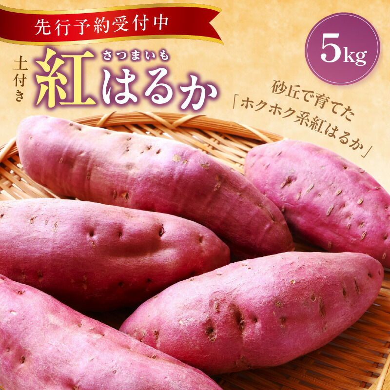 【ふるさと納税】【先行予約／数量限定80】京丹後産 土付き 紅はるか（さつまいも） 5kg（2025年11月上旬～発送） さつま芋 薩摩芋 甘藷 サツマイモ さつまいも 紅はるか べにはるか ベニハルカ 国産 5キロ 農家応援 生産者応援 送料無料