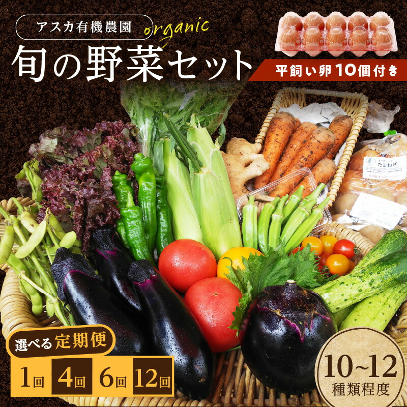 【ふるさと納税】京の旬野菜セットL平飼い卵付き（栽培期間中農薬・化学肥料不使用）＜アスカ有機農園＞  1回 4回 6回 12回 定期便 回数 選べる 野菜 京野菜 旬野菜 旬 卵 玉子 平飼い セット 詰め合わせ 京都府 京丹後市 ふるさと納税 野菜 生産者応援 農家応援 送料無料