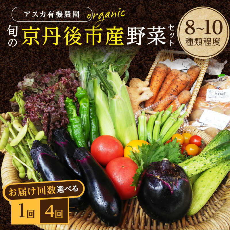 【ふるさと納税】＜アスカ有機農園＞旬の京丹後野菜セットS（栽培期間中　農薬・化学肥料不使用） 1回 4回 6回 12回 定期便 回数 選べる 野菜 京野菜 旬野菜 旬 セット 詰め合わせ 新鮮 京都府 京丹後市 ふるさと納税 野菜 生産者応援 農家応援 送料無料