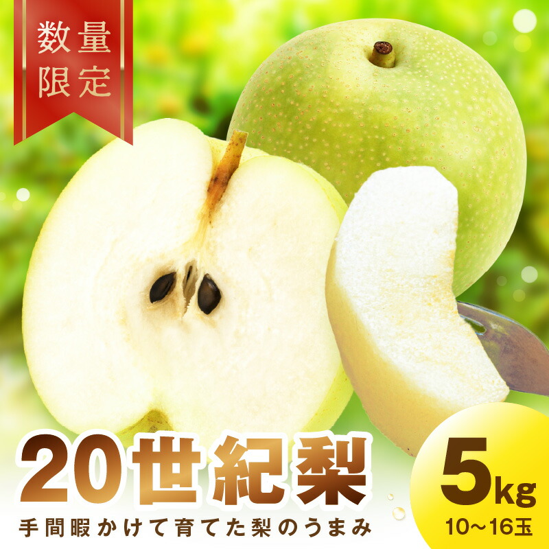 【ふるさと納税】高評価★5.0 高レビュー★【先行予約／数量限定100】廿世紀梨　5kg（2025年9月上旬～発送）フルーツ くだもの 国産 梨 二十世紀 20世紀 廿世紀 ふるさと 納税 先行予約 期間限定 数量限定 ふるさと納税 フルーツ