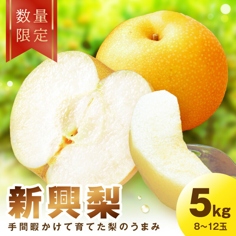 【ふるさと納税】【残りわずか】【先行予約／数量限定100】新興梨　5kg（2025年10月中旬～発送）フルーツ くだもの 国産 梨 新興 ふるさと 納税 先行予約 期間限定 数量限定 ふるさと納税 フルーツ 赤梨