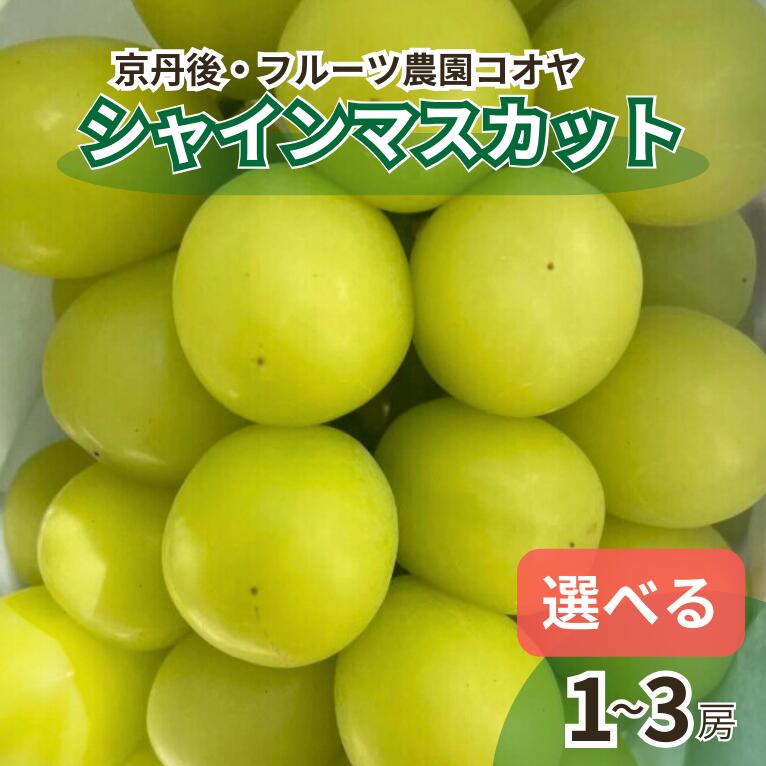 【ふるさと納税】【先行予約／数量限定50】シャインマスカット 700g以上 1.2kg以上 1.6kg以上 1房 2房 3房（2025年9月上旬～10月中旬発送） 選べる 内容量    フルーツ デザート 果物 旬 ぶどう マスカット ふるさと納税 果物 ふるさと納税 シャインマスカット