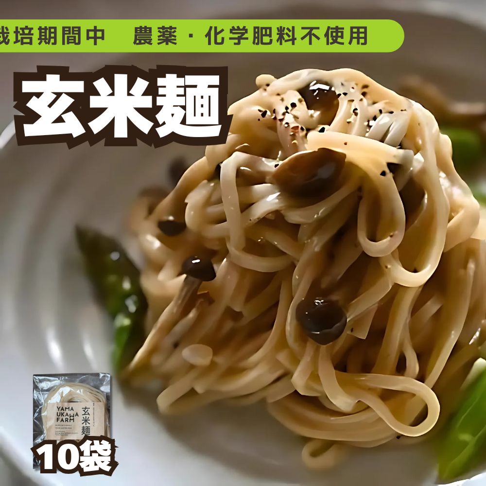 【ふるさと納税】栽培期間中農薬・化学肥料不使用 玄米麺10袋セット 麺 麺類 玄米麺 玄米 グルテンフリー ヴィーガン 健康食 健康 栄養 雑穀 防災食 米粉面 パスタ 代替 中華そば 代替  うどん 代替