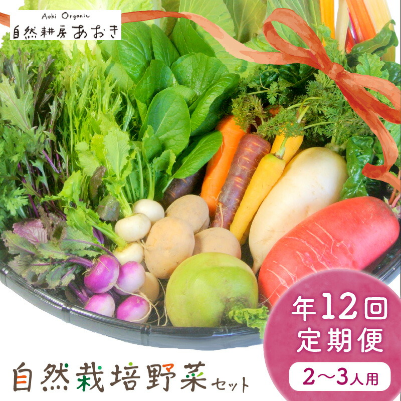 【ふるさと納税】京都・自然栽培野菜セット（年12回）2~3人用　定期便 12ヵ月 ふるさと納税 野菜 自然栽培 季節 定期便 12回 旬野菜 5～7種 2～3人用 詰め合わせ 百貨店 ホテル 栽培期間中 農薬 京都 産地直送 やさい 野菜セット おまかせ おすすめ 美味しい