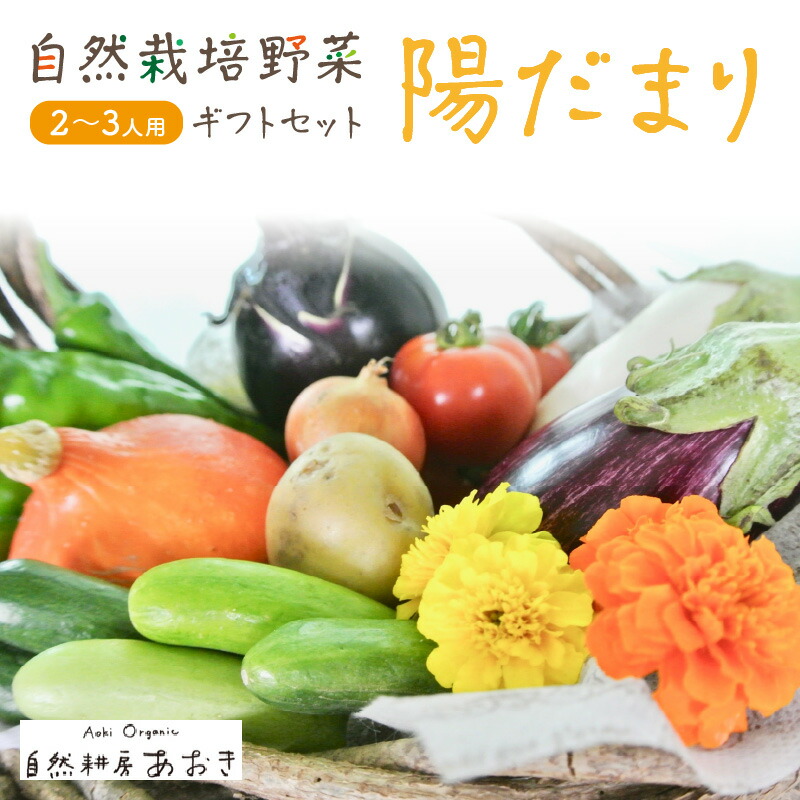 【ふるさと納税】【数量限定】自然栽培野菜セット（陽だまり）5～7種 2～3人用 ふるさと納税 野菜 自然栽培 旬野菜 季節 セット 詰め合わせ 百貨店 ホテル 栽培期間中 農薬 化学肥料 京都 産地直送 やさい 野菜セット おまかせ おすすめ 美味しい 自然 色鮮やか 甘み