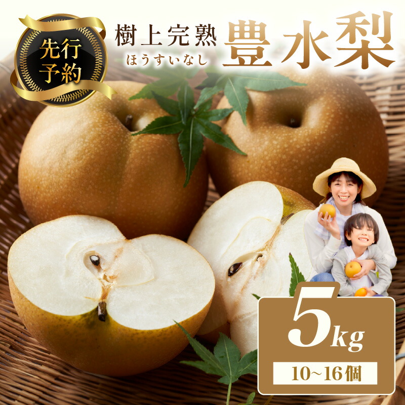 【ふるさと納税】【先行予約】樹上完熟 豊水梨 5kg（10～16個）（2025年8月下旬～発送） 国産 10～16 個 玉 フルーツ 果物 なし 豊水 ふるさと 納税 梨 なし ナシ ふるさと 納税 先行予約 期間限定 ふるさと 納税 フルーツ くだもの 農家直送