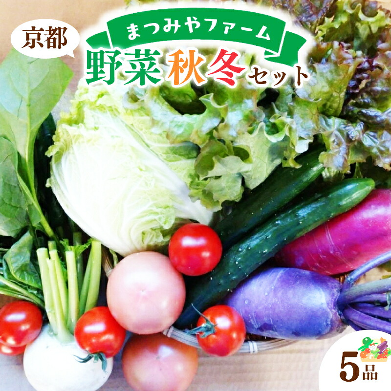 【ふるさと納税】高評価★5.0 高レビュー★ 京都・まつみやファームの京都の野菜秋冬セット（5品） 野菜 セット 詰め合わせ 春菊 ブロッコリー 白菜 大根 トマト ほうれん草 水菜 旬 京都 農家直送 ふるさと納税 野菜 やさい 詰め合わせ お取り寄せ 生産者応援 農家応援
