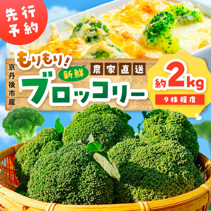 【ふるさと納税】＼野菜高騰中 ブロッコリー／【先行予約】もりもり！ブロッコリー 約2kg（2025年11月中旬～発送） 9株程度 冷蔵 農家直送 ぶろっこりー 野菜 京野菜 新鮮 生産者応援 農家応援 送料無料
