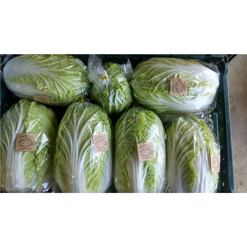 【ふるさと納税】【先行予約】京丹後冬鍋野菜セット（2025年11月中旬～発送） 鍋セット 1～2人前 野菜 やさい 京野菜 鍋 せっと 生産者応援 農家応援 送料無料