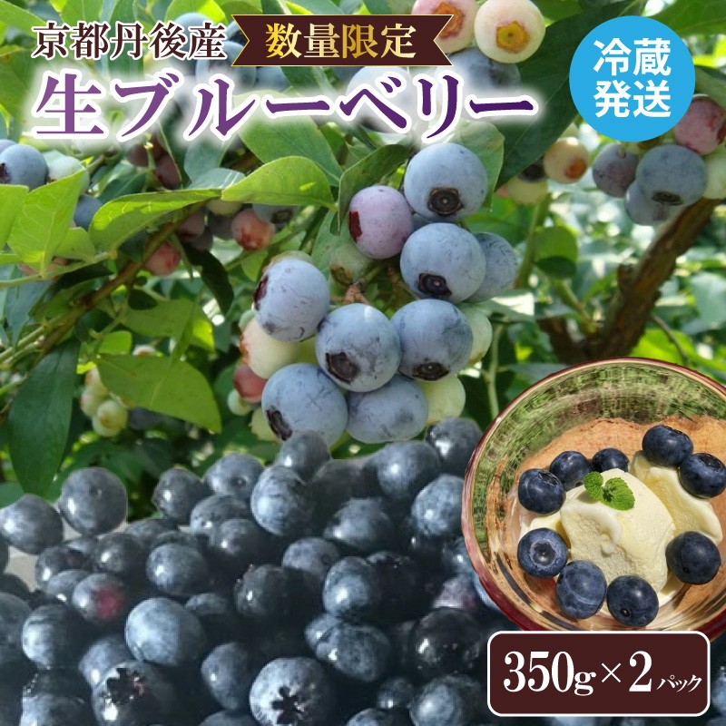 【ふるさと納税】残りわずか 【先行予約／数量限定50】国産 京都丹後ブルーベリー 350g×2パック（2025年7月中旬～発送） 生 ぶるーべりー 果物 完熟 2パック 期間限定 国産 ふるさと納税 フルーツ 農薬不使用 大粒 完熟 期間限定 2024年産 令和7年産  農家応援 送料無料