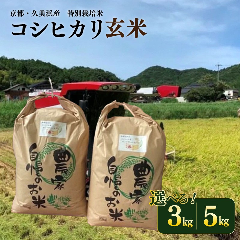 【ふるさと納税】玄米・令和7年産／京都・久美浜産 特別栽培米コシヒカリ（玄米）（2025年10月上旬～発送） 3kg 5kg 選べる 内容量 特別栽培米 コシヒカリ 玄米 おこめ おにぎり 京都産 ふるさと納税 お米 こしひかり 3キロ 5キロ 3kg 5kg ふるさと納税 米