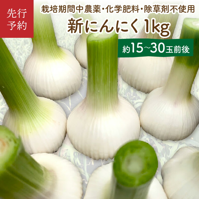 【ふるさと納税】【先行予約／数量限定60】新にんにく1kg（15玉～30玉前後） にんにくコンフィレシピ付き（栽培期間中農薬・化学肥料・除草剤不使用）（2025年6月上旬～発送）