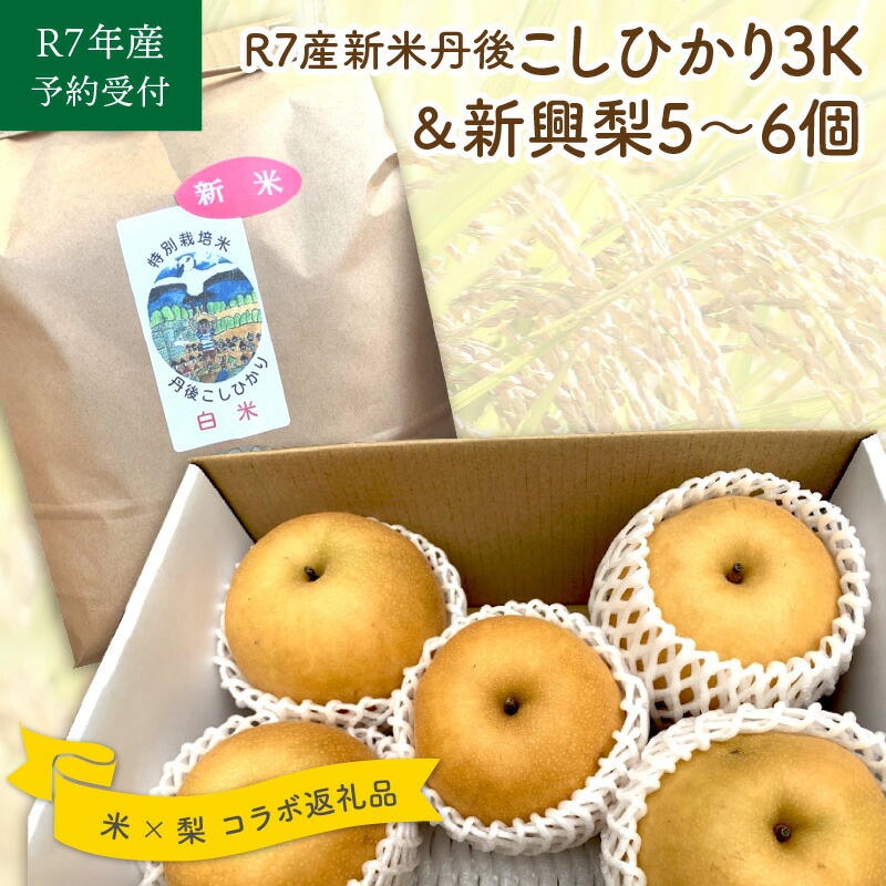 【ふるさと納税】【予約受付】特別栽培米丹後こしひかり3kg＆新興梨5～6個（2025年10月中旬～発送）　国産 コラボ 米 コメ 果物 フルーツ 新興梨 梨 ナシ セット 詰め合わせ 先行予約 生産者応援 農家応援 期間限定