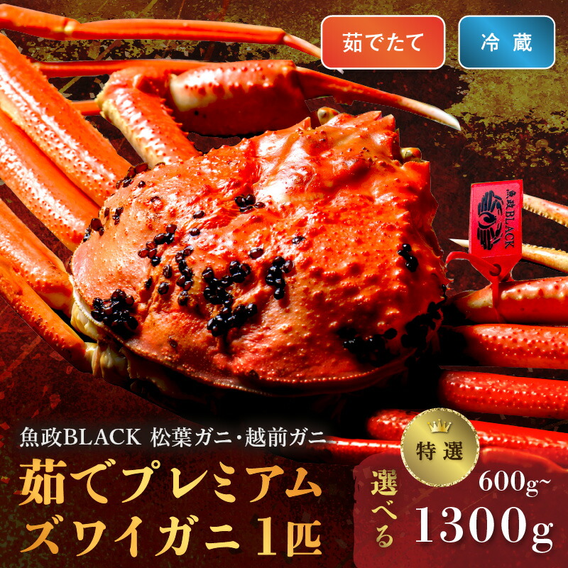 【ふるさと納税】高評価★5.0 高レビュー★【蟹の匠 魚政】茹で プレミアムズワイガニ 魚政BLACK（松葉ガニ・越前ガニ）特撰 小サイズ（600～700g）～ 特大サイズ（1200～1300g） 1匹(11月～12月発送) (2027年1月～発送)｜京都府京丹後市