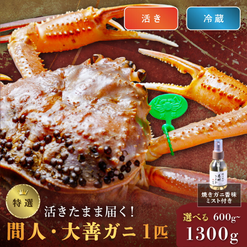 九谷焼 珊瑚紅釉 茶壺 直須 茶碗