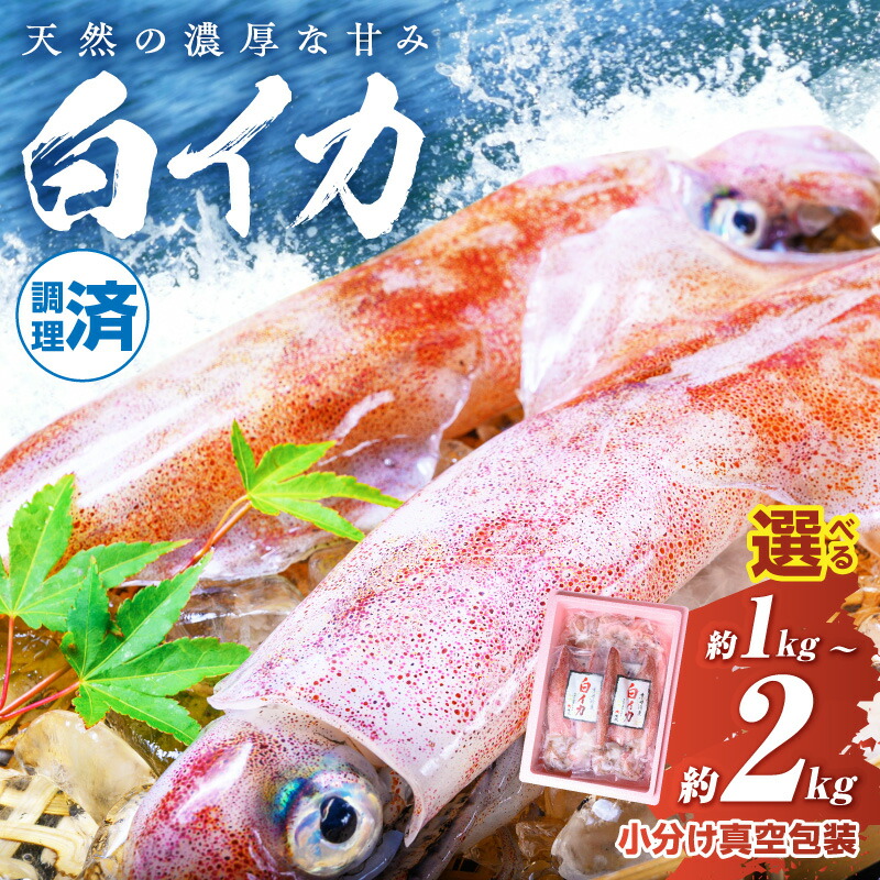 【ふるさと納税】真空パック調理済／高評価★4.5BBQに最適！ 白イカ（ケンサキイカ） 調理済み 正味1kg 1.5kg 2kg ※小分け真空包装 海鮮 魚介 烏賊 調理済み バーベキュー 壺焼き 小分け 冷凍 ふるさと納税 イカ ふるさと納税 海鮮BBQ｜京都府京丹後市