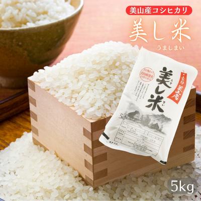 【ふるさと納税】米 美し米 5kg 美山産 コシヒカリ 白米 精米 コメ こめ お米 こしひかり 5 キロ ご飯 ごはん 京都 |京都府南丹市
