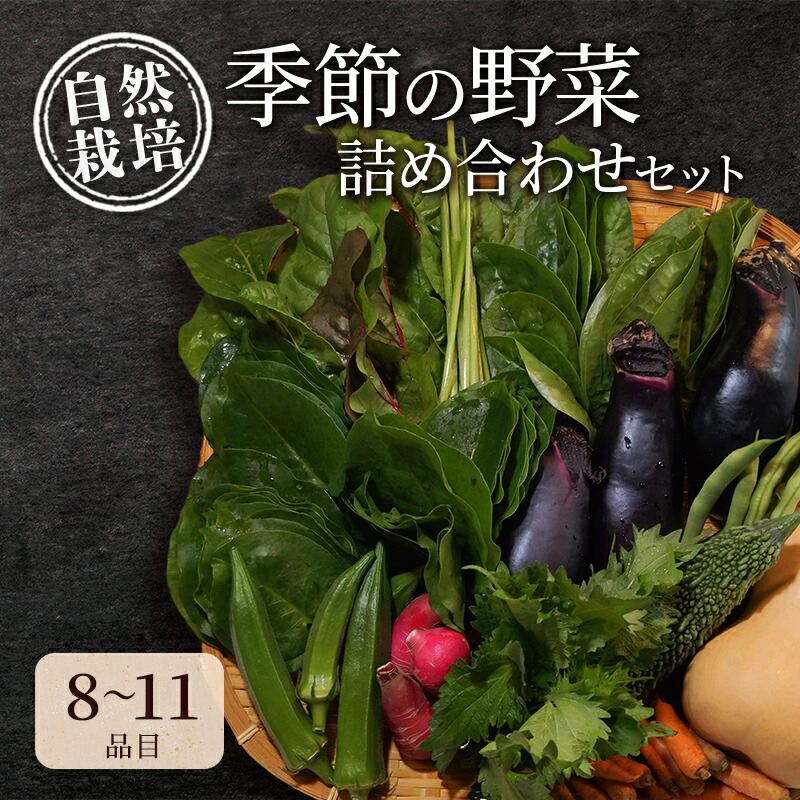 【ふるさと納税】自然栽培・季節の野菜詰め合わせセット 旬 新鮮 採れたて 栽培期間中 無農薬 無化学肥料 安心安全 自然派 産地直送 やさい 詰め合わせ 京都府 南丹市｜京都府南丹市